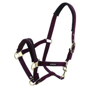 Horse Halter - Cob - Purple