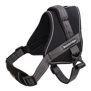 Sport Harness Adjustable Padded - Small