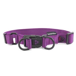 Nylon Double Ring Dog Collar Premium - Medium Purple
