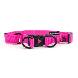 Nylon Double Ring Dog Collar Premium - Extra Large Pink