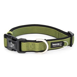 Premium Sport Dog Collar with Neoprene - XL - Green