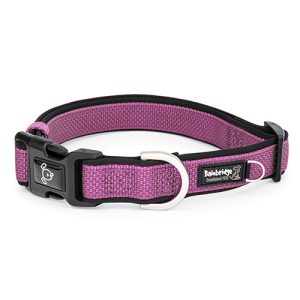 Premium Sport Dog Collar with Neoprene - XL - Pink