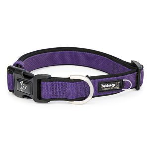 Premium Sport Dog Collar with Neoprene - XL - Purple