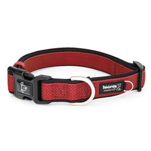 Premium Sport Dog Collar with Neoprene - XL - Red