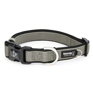 Premium Sport Dog Collar with Neoprene - XL - Silver