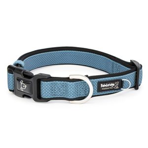 Premium Sport Dog Collar with Neoprene - S - Blue