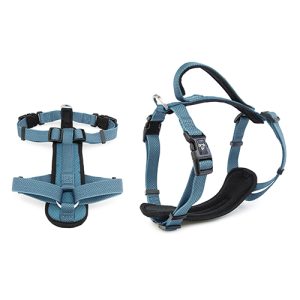 Premium Sport Dog Harness with Safety Handle - M - Blue
