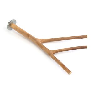 Bird Perch - Multi Branch - 25cm x 2cm