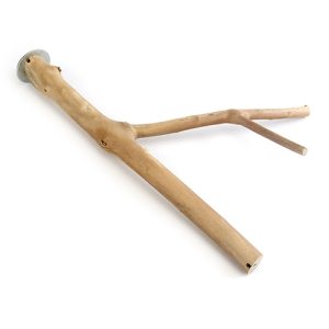 Bird Perch - Multi Branch - 30cm x 2.5cm