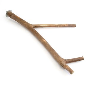 Bird Perch - Multi Branch - 40cm x 3cm