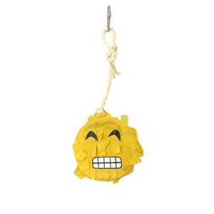 Bird Toy Pinata - Emoji Grimace