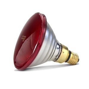 Infared Heat Lamp Bulb - Red - 50W
