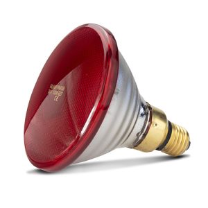 Infared Heat Lamp Bulb - Red - 100W