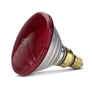 Infared Heat Lamp Bulb - Red - 150W