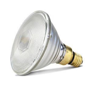 Infared Heat Lamp Bulb - Clear - 100W