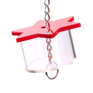 Bird Toy - Interactive - Foraging Star Forager
