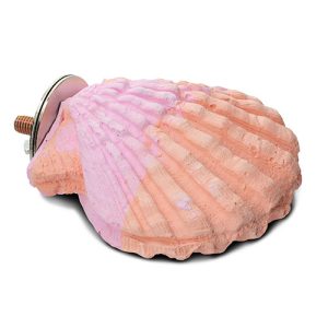 Bird Perch - Calcium Clam Parrot - Small