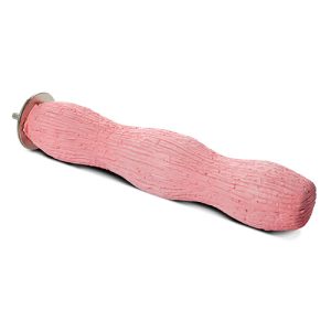 Bird Perch - Wave Calcium - Extra Large 25.5cm