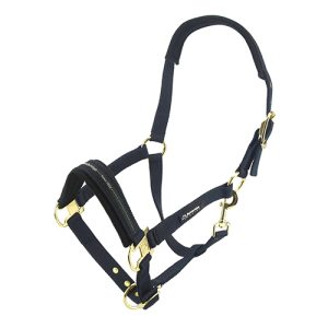 Horse Halter - Full - Blue