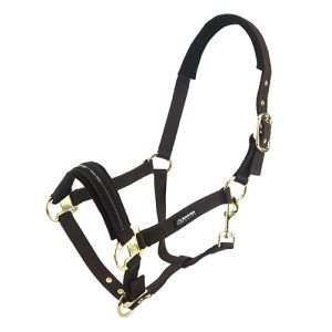 Horse Halter - Full - Brown