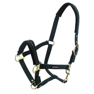 Horse Halter - Full - Green