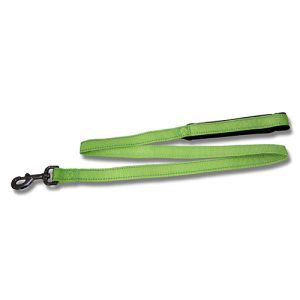 Dog Lead Webbing Reflective Strips - 120cm x 25mm Green