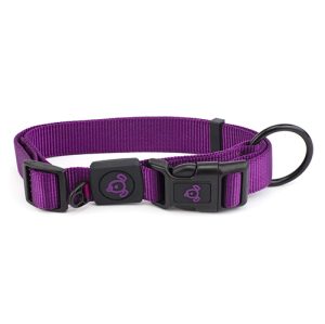 Nylon Dog Collar Premium - Extra Small Purple