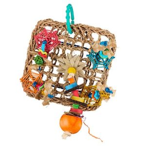 Bird Toy - Interactive - Web Play Wall