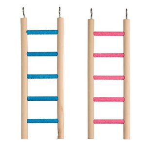 Bird Ladder - Cement Grit - 5 Step