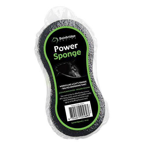 Power Sponge Power Sponge