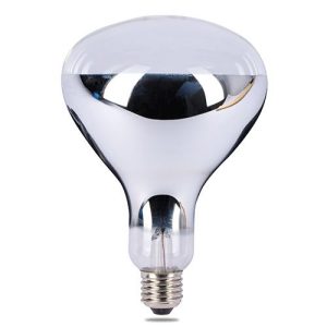 Infrared Spot Globe - Clear - 75w